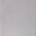 Specialty Textile Group - Peluche 03121+Lt.+French+Gray+76902